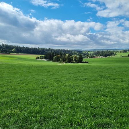 Modern Eingerichtete 3-Zi-Ferienwohnung Zu Vermieten Löffingen Exteriör bild