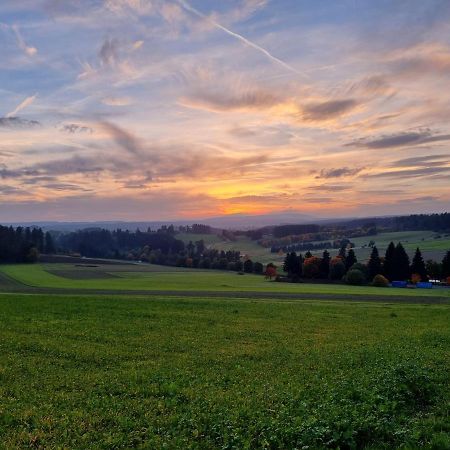 Modern Eingerichtete 3-Zi-Ferienwohnung Zu Vermieten Löffingen Exteriör bild