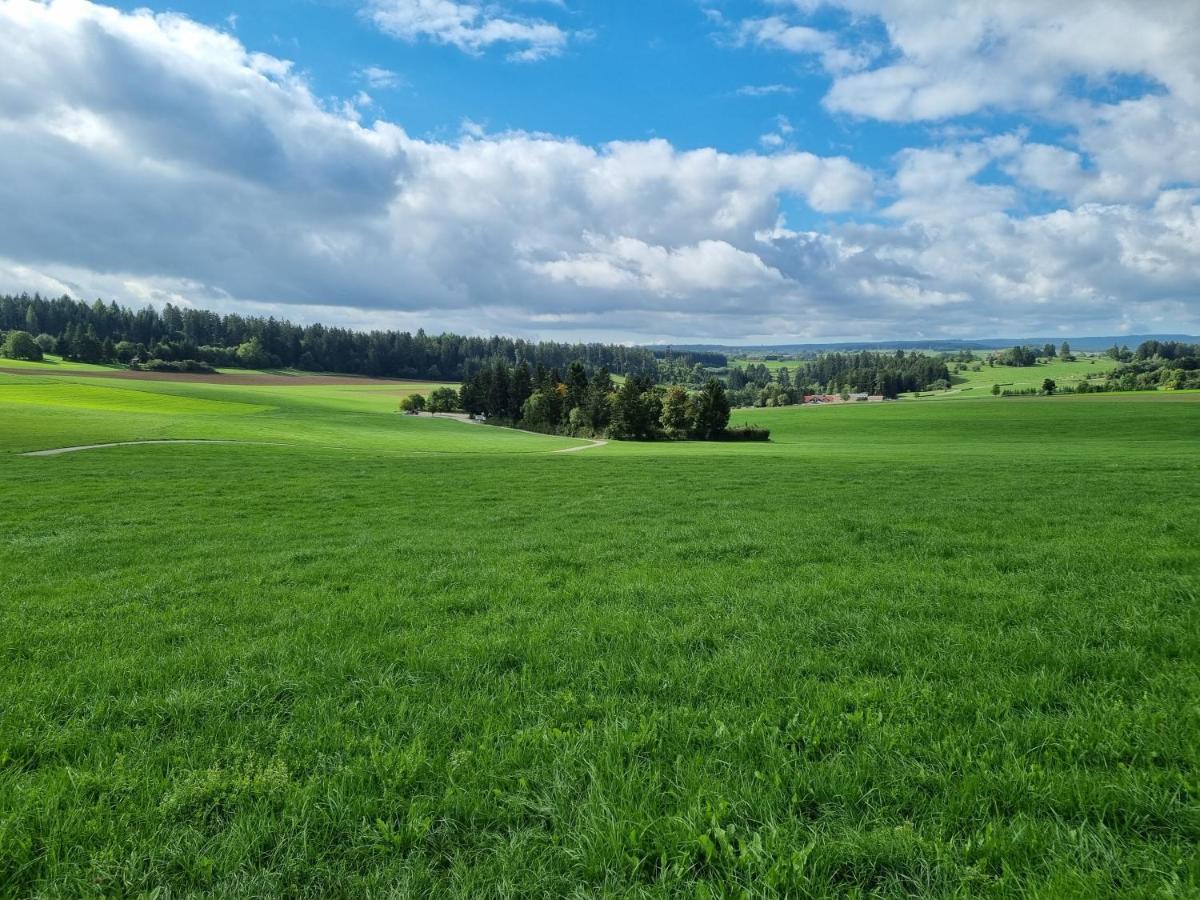 Modern Eingerichtete 3-Zi-Ferienwohnung Zu Vermieten Löffingen Exteriör bild