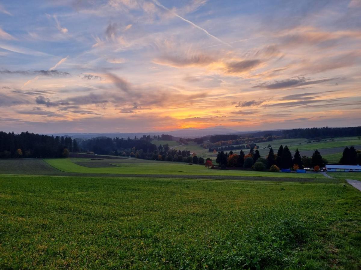 Modern Eingerichtete 3-Zi-Ferienwohnung Zu Vermieten Löffingen Exteriör bild